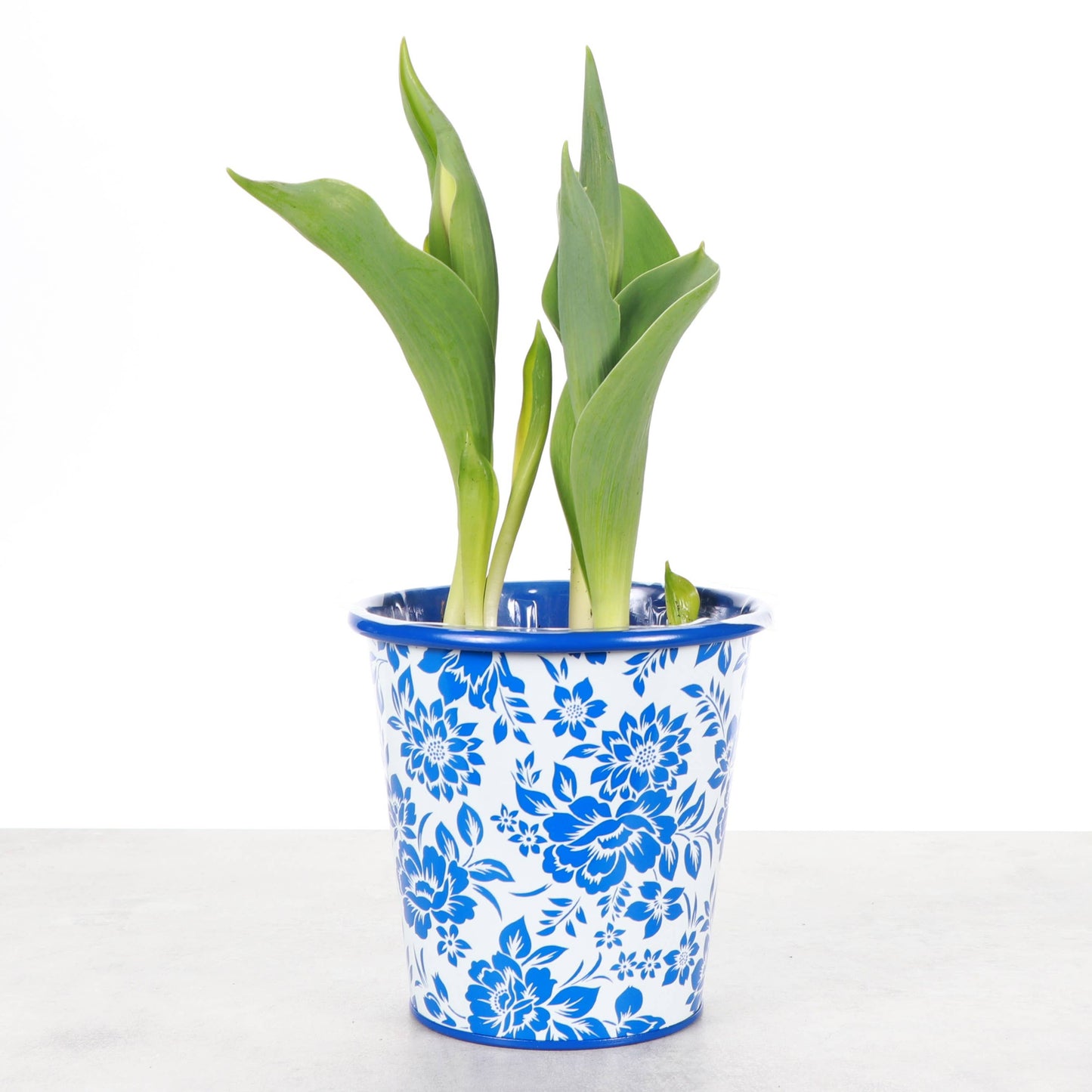 Delft Blue Design Metal Pot for Plants - 4" and 6" Options