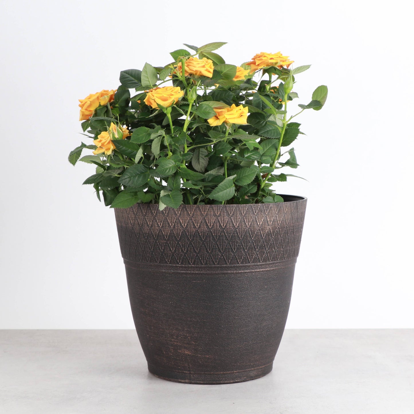 Diamond-Pattern Rim Tall Planter - Plastic - 7" Wide