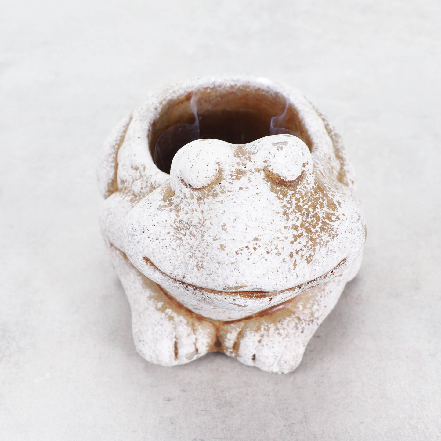 Mini Cement Frog Planter - Fits 2-inch Plant