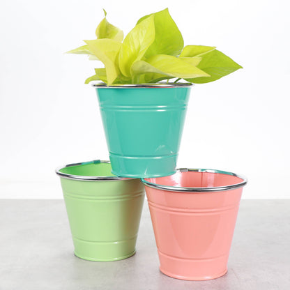 4" Solid Color Metal Pot Cover for Plants - 10 Color Options