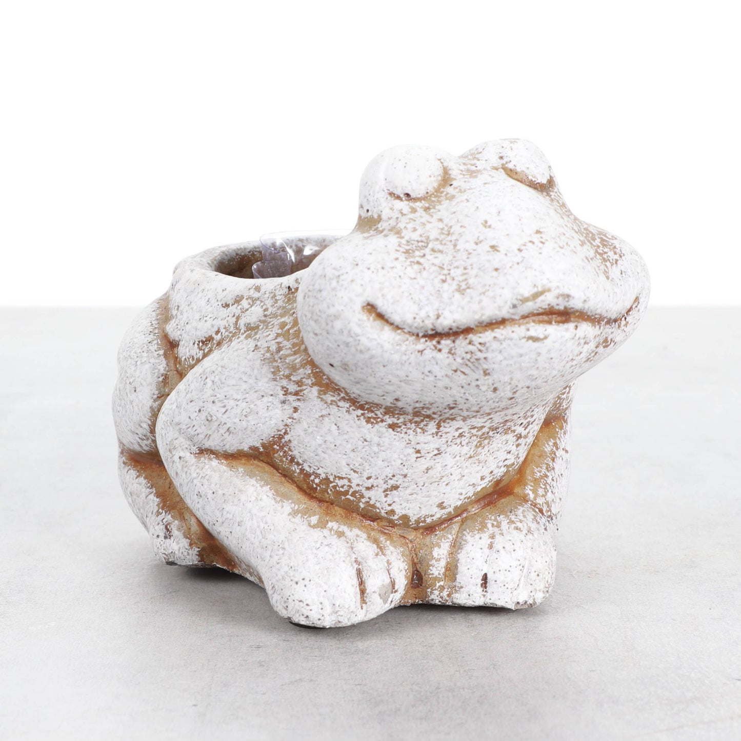 Mini Cement Frog Planter - Fits 2-inch Plant
