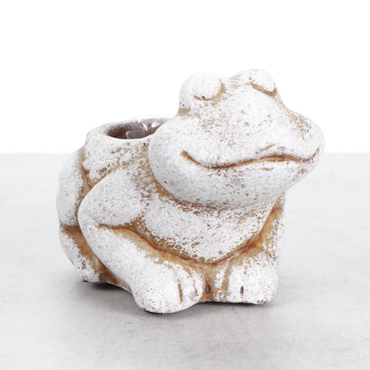 Mini Cement Frog Planter - Fits 2-inch Plant