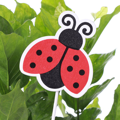 Card Holder Ladybug & Bee Plant Picks