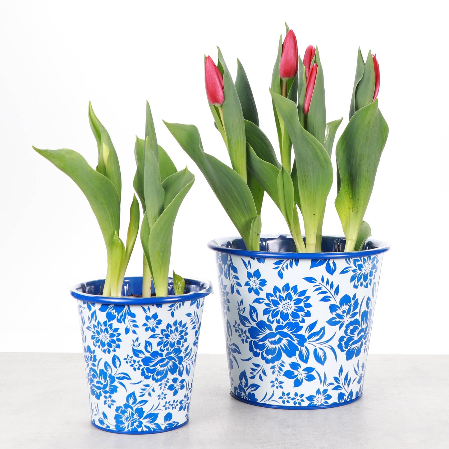 Delft Blue Design Metal Pot for Plants - 4" and 6" Options