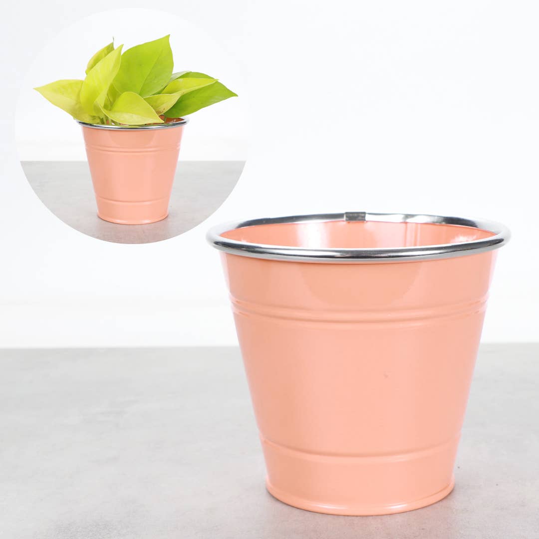 4" Solid Color Metal Pot Cover for Plants - 10 Color Options