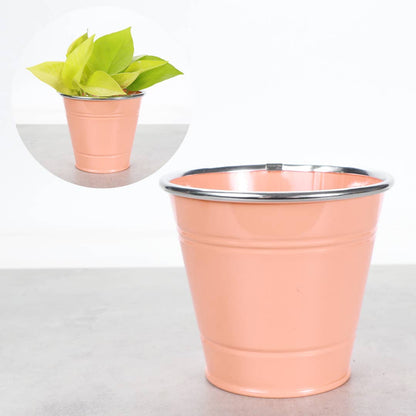 4" Solid Color Metal Pot Cover for Plants - 10 Color Options