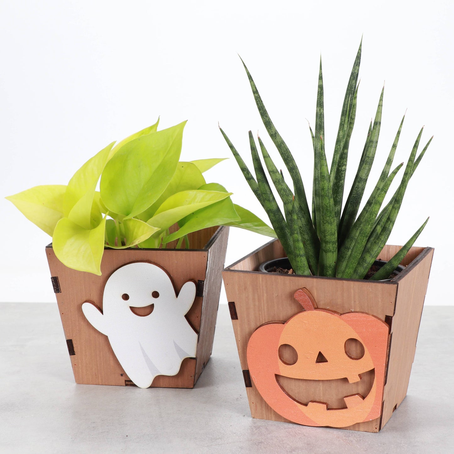 Halloween Design Wooden Pot for Houseplants - 4" Size
