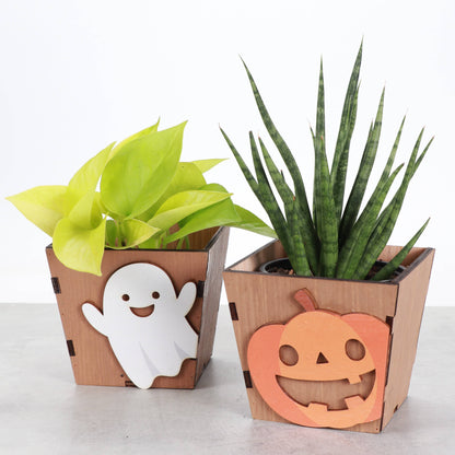 Halloween Design Wooden Pot for Houseplants - 4" Size