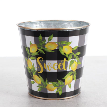 Lemon Design Metal Pot for Houseplants - 4" and 6" Options