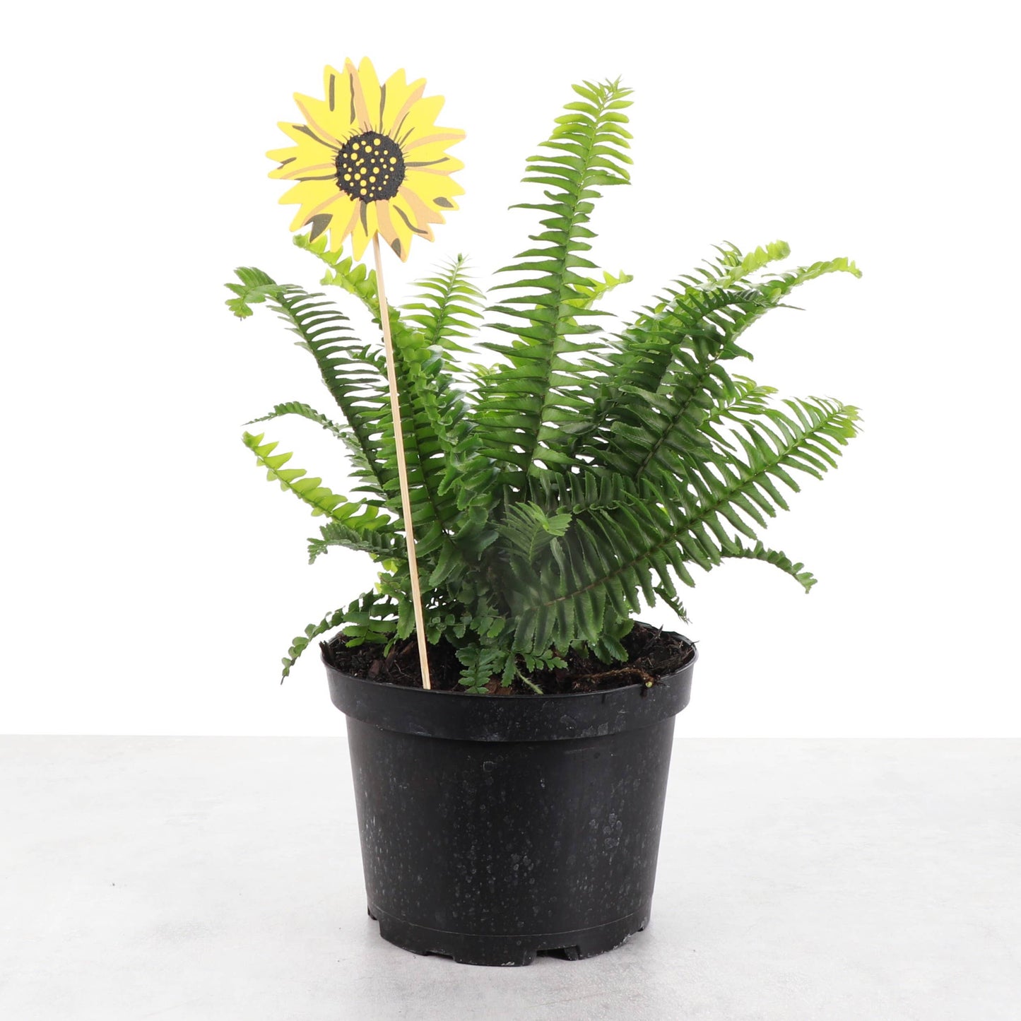 Sunflower Plant Picks - 13" Height