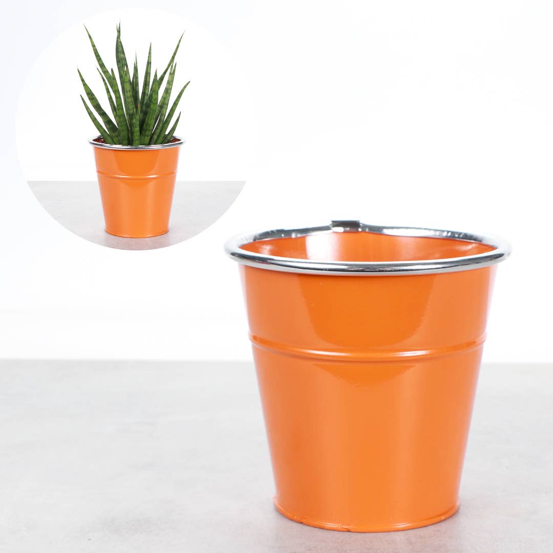 4" Solid Color Metal Pot Cover for Plants - 10 Color Options