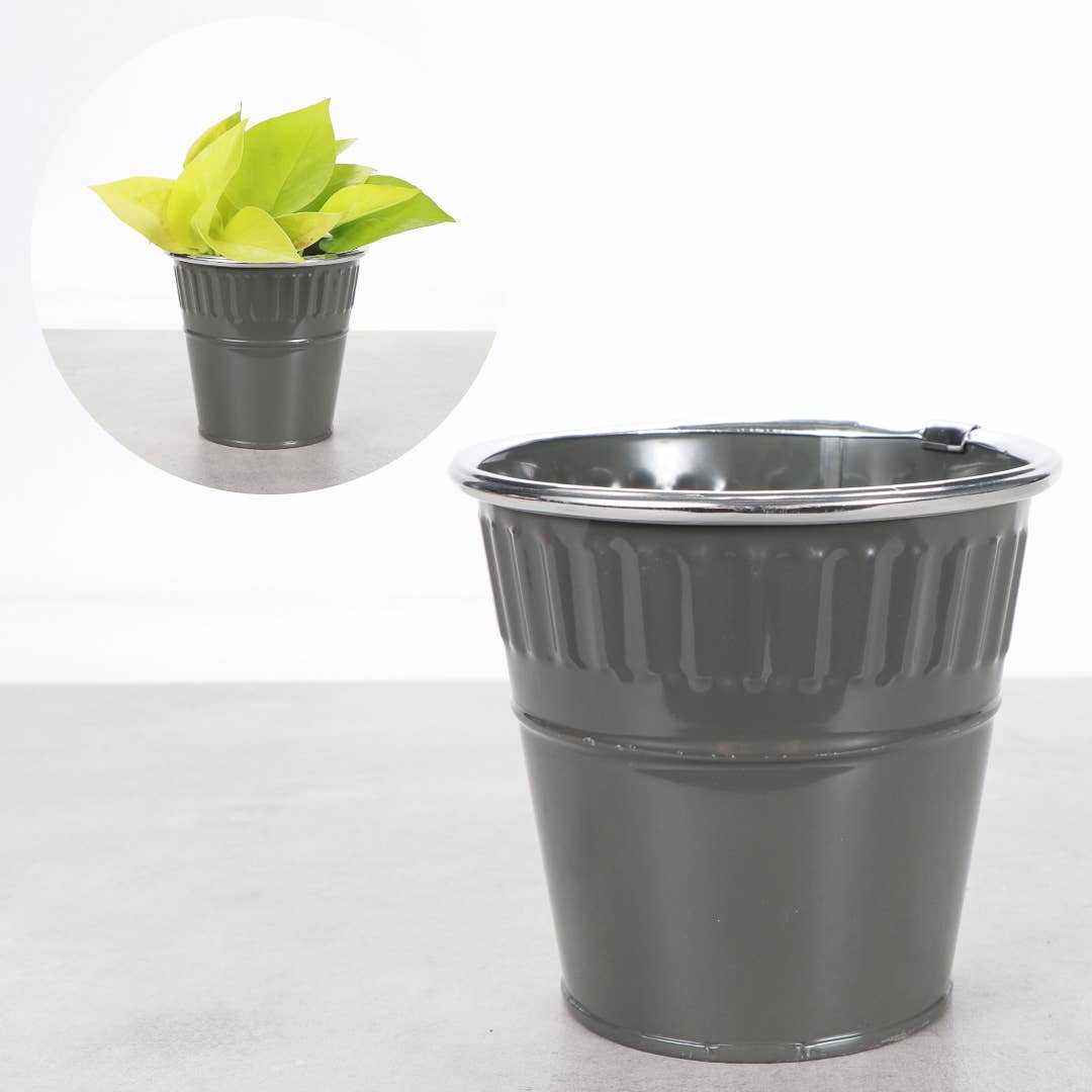 4" Solid Color Metal Pot Cover for Plants - 10 Color Options