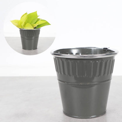 4" Solid Color Metal Pot Cover for Plants - 10 Color Options