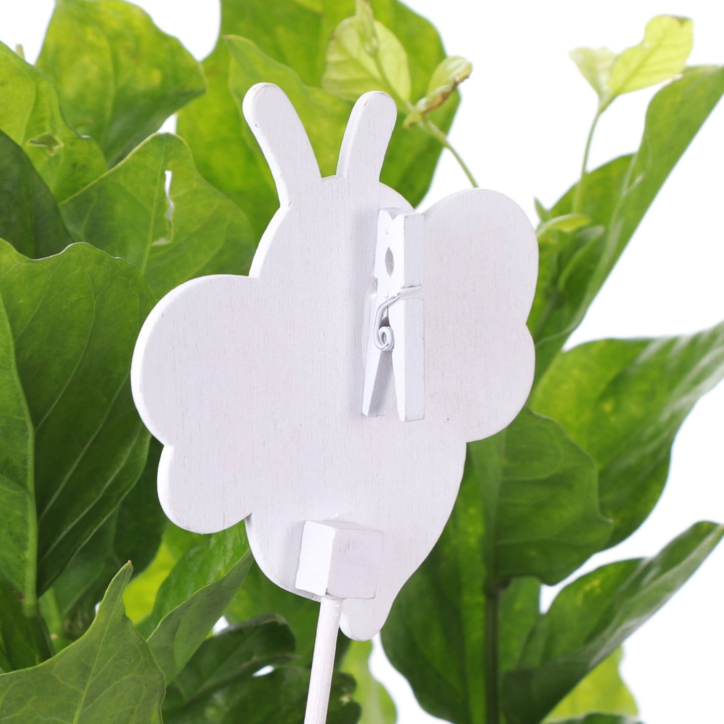 Card Holder Ladybug & Bee Plant Picks