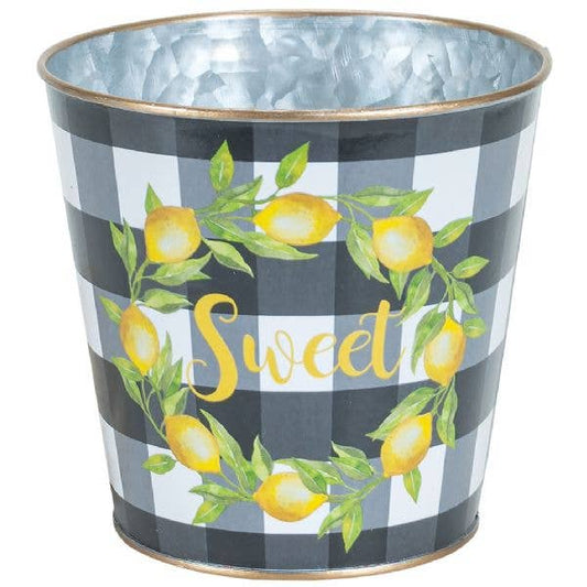 Lemon Design Metal Pot for Houseplants - 4" and 6" Options