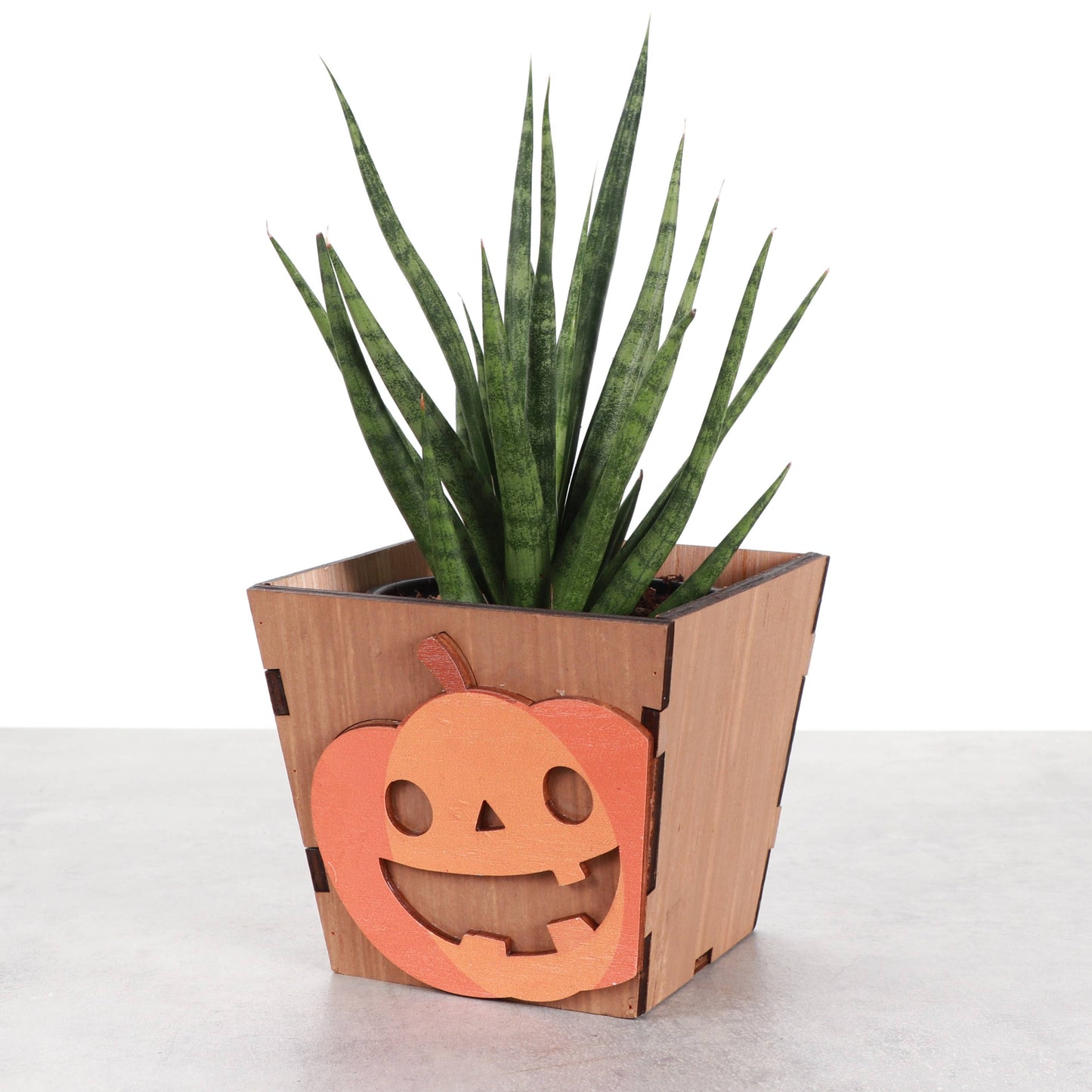 Halloween Design Wooden Pot for Houseplants - 4" Size