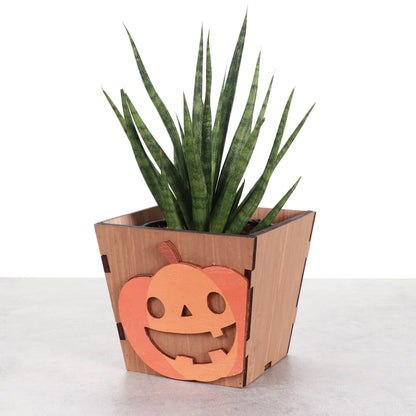 Halloween Design Wooden Pot for Houseplants - 4" Size