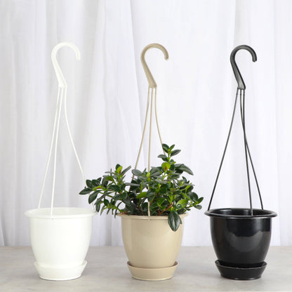 Hanging Pot for 4" Plants - Multiple Colors