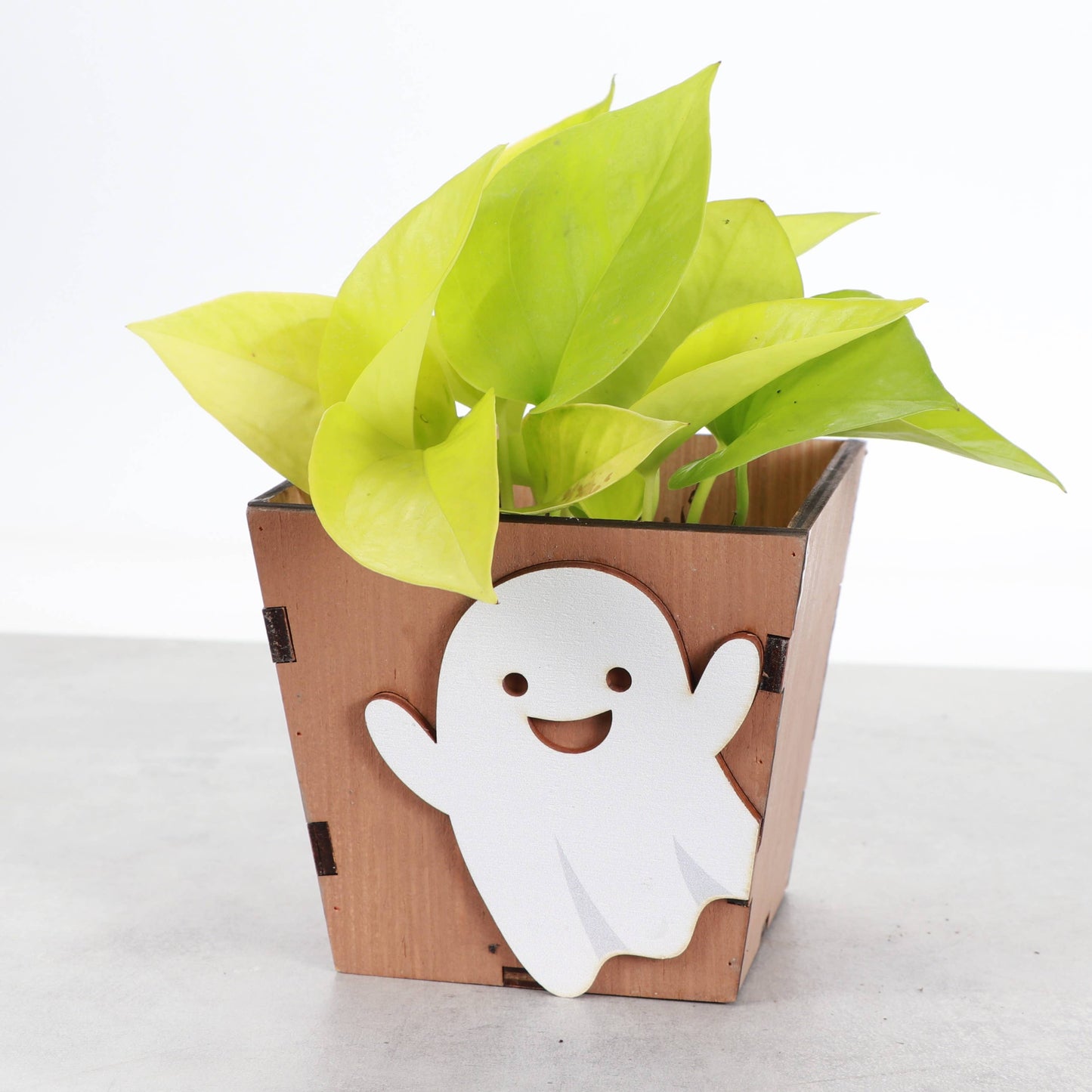 Halloween Design Wooden Pot for Houseplants - 4" Size