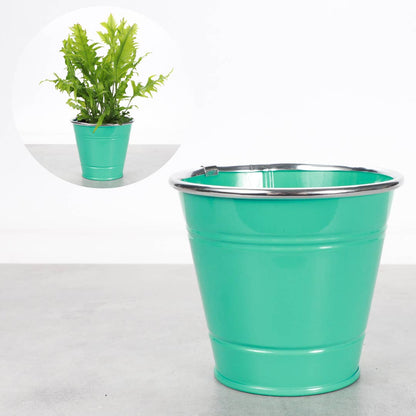 4" Solid Color Metal Pot Cover for Plants - 10 Color Options