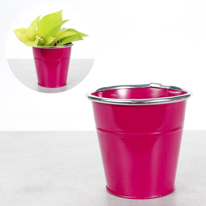 4" Solid Color Metal Pot Cover for Plants - 10 Color Options
