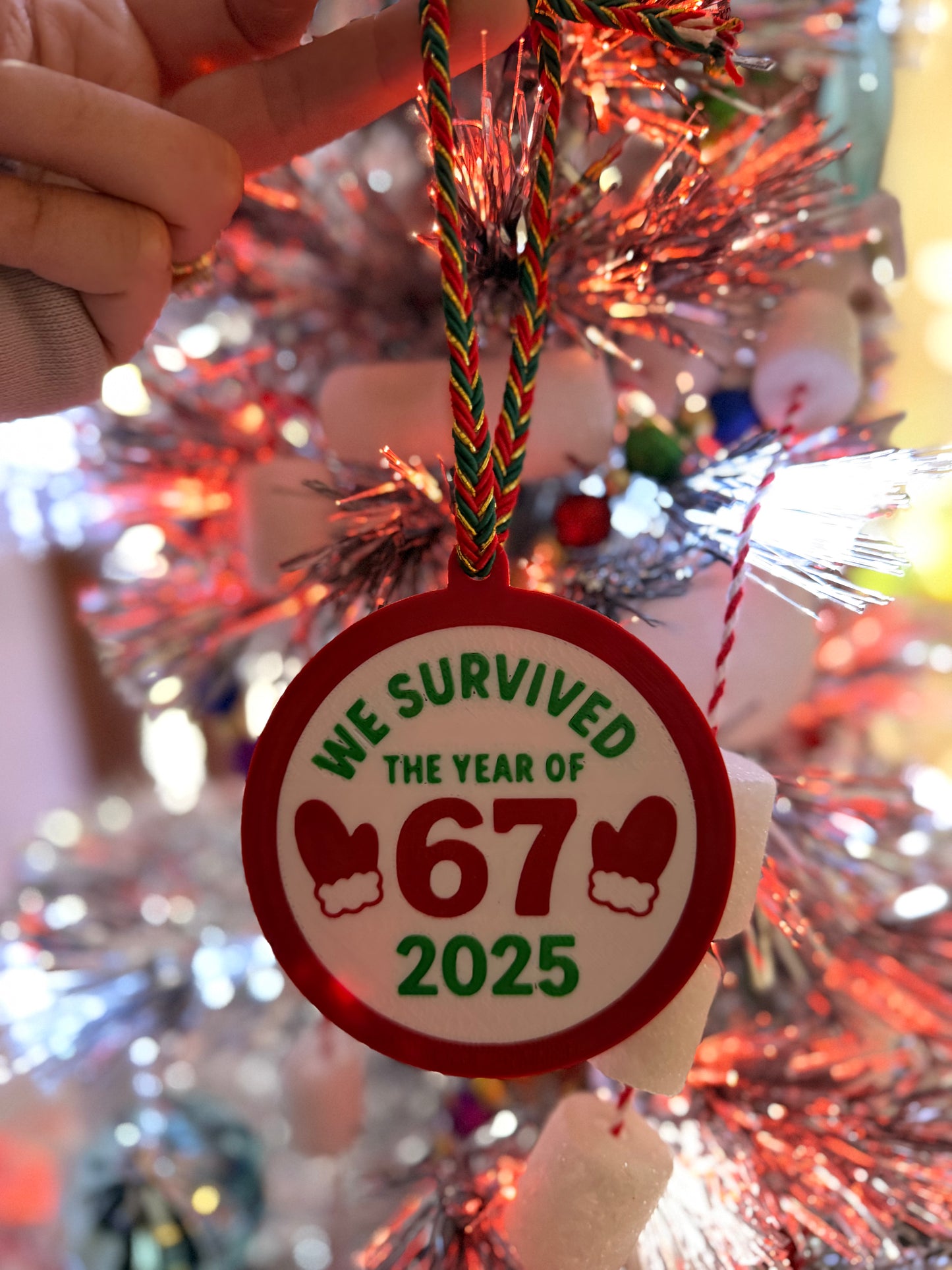 We Survived The Year Of 6️⃣7️⃣