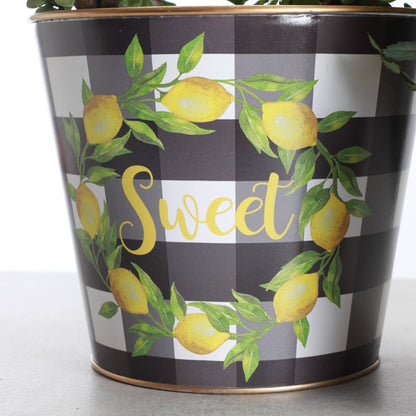 Lemon Design Metal Pot for Houseplants - 4" and 6" Options