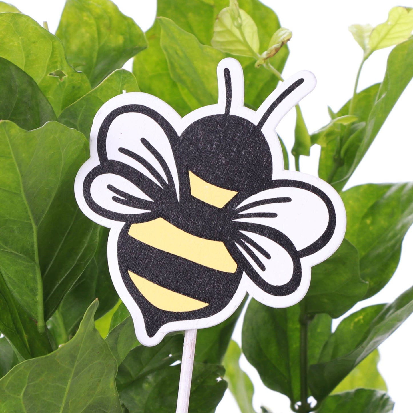 Card Holder Ladybug & Bee Plant Picks