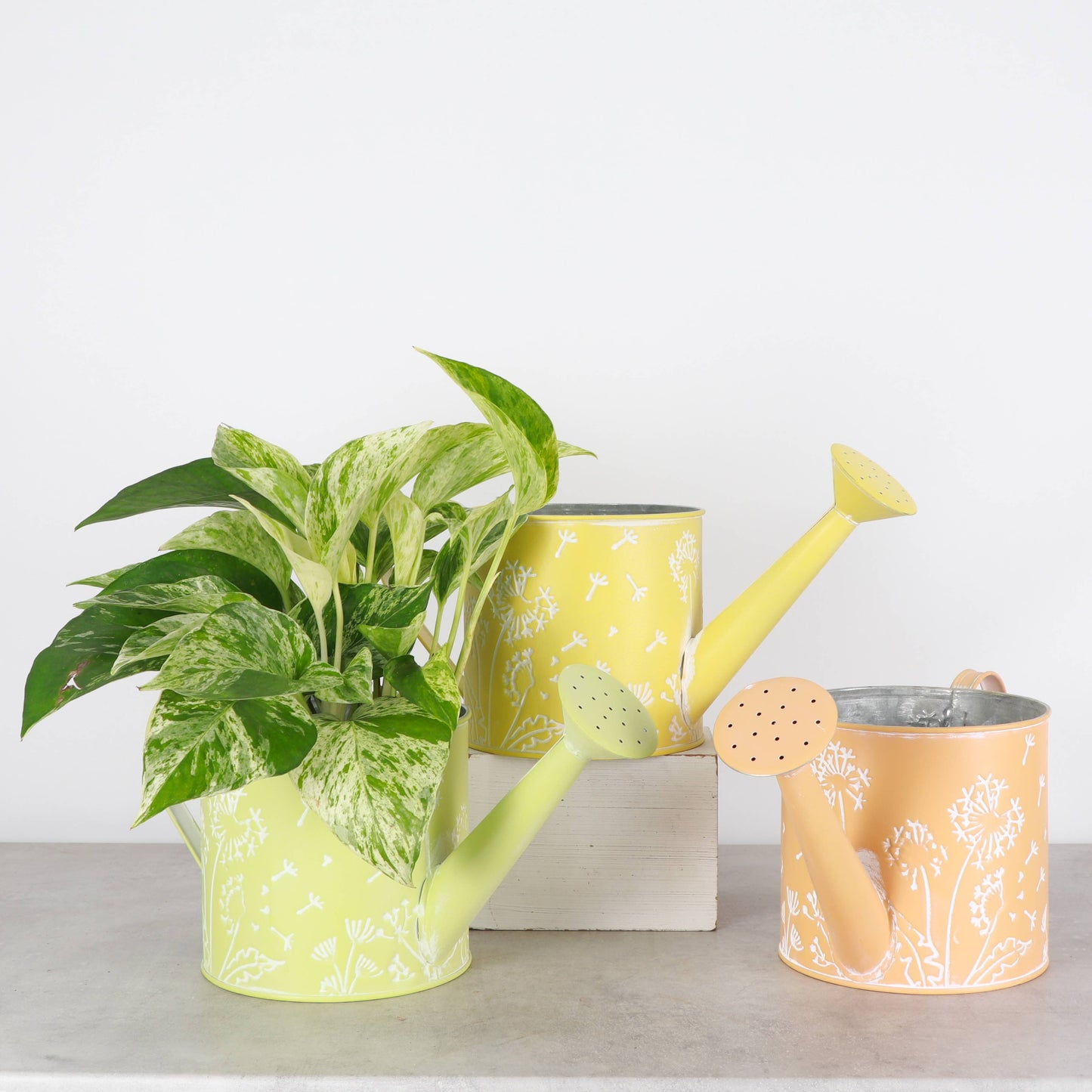 Dandelion Design Metal Pot For Houseplants - 4" Size