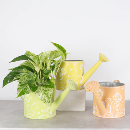 Dandelion Design Metal Pot For Houseplants - 4" Size