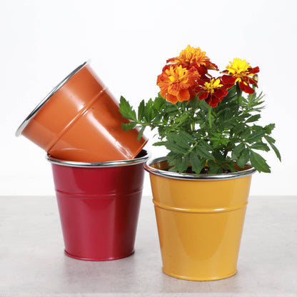 4" Solid Color Metal Pot Cover for Plants - 10 Color Options