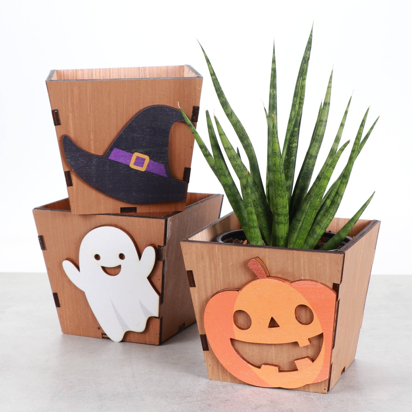 Halloween Design Wooden Pot for Houseplants - 4" Size