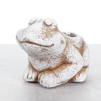 Mini Cement Frog Planter - Fits 2-inch Plant