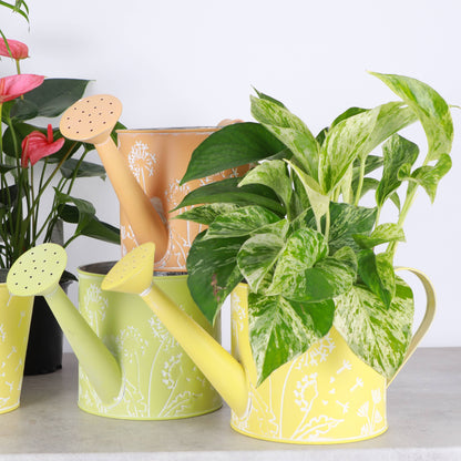 Dandelion Design Metal Pot For Houseplants - 4" Size