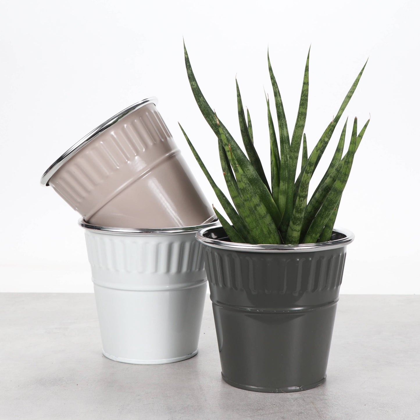 4" Solid Color Metal Pot Cover for Plants - 10 Color Options
