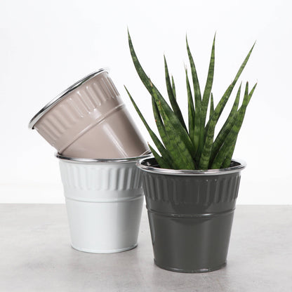 4" Solid Color Metal Pot Cover for Plants - 10 Color Options