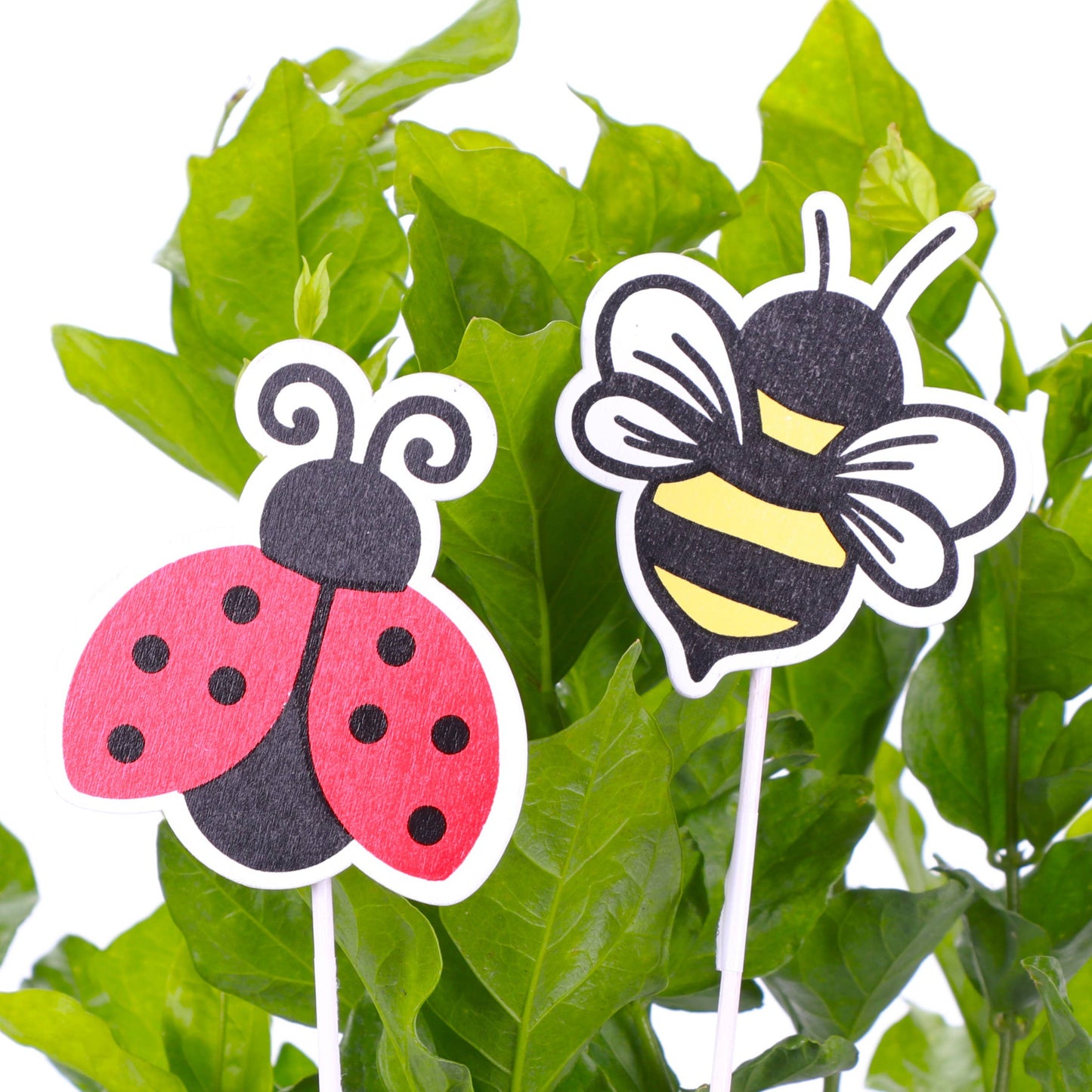 Card Holder Ladybug & Bee Plant Picks