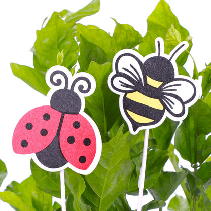 Card Holder Ladybug & Bee Plant Picks
