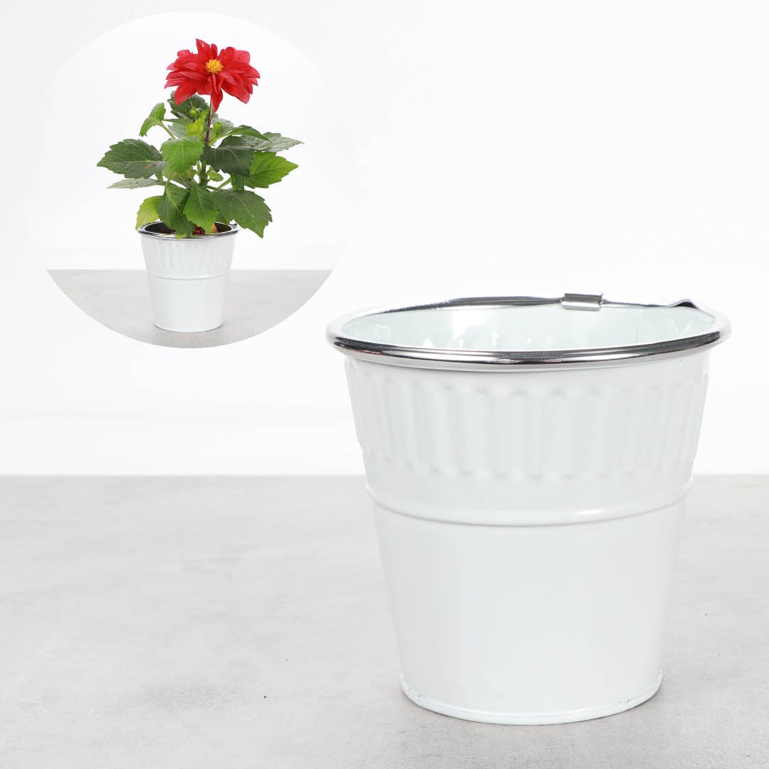 4" Solid Color Metal Pot Cover for Plants - 10 Color Options