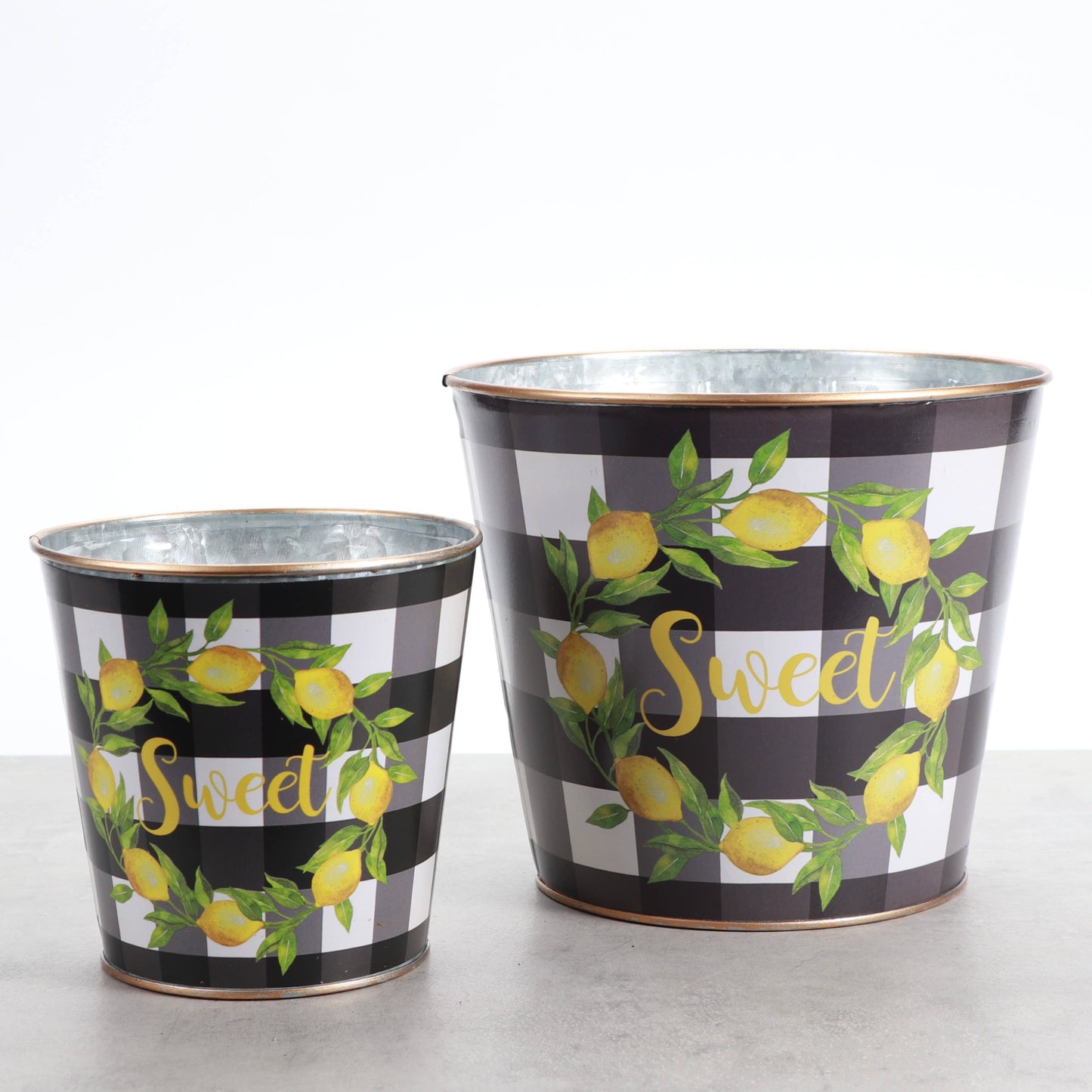 Lemon Design Metal Pot for Houseplants - 4" and 6" Options